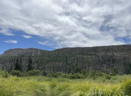 Lost Prairie Campground