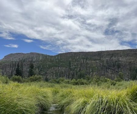 Lost Prairie Campground