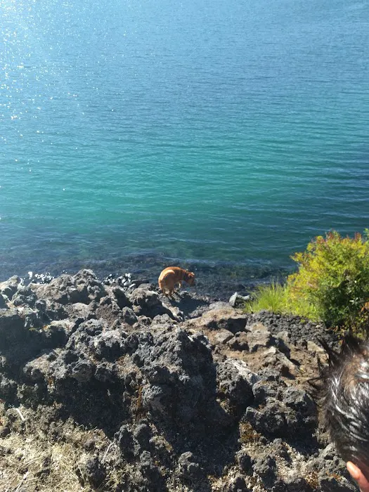 Coldwater Cove Campground Picture 6