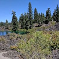 Coldwater Cove Campground ico