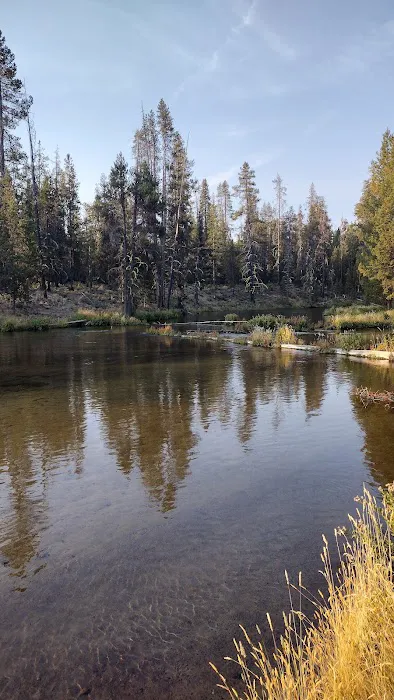 Coldwater Cove Campground Picture 3