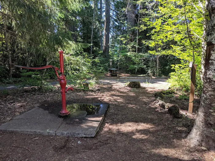 Coldwater Cove Campground Picture 5