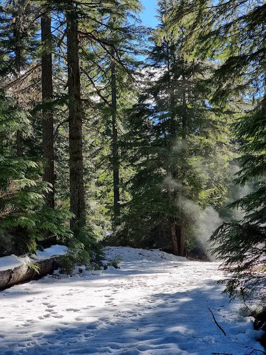 Coldwater Cove Campground Picture 4