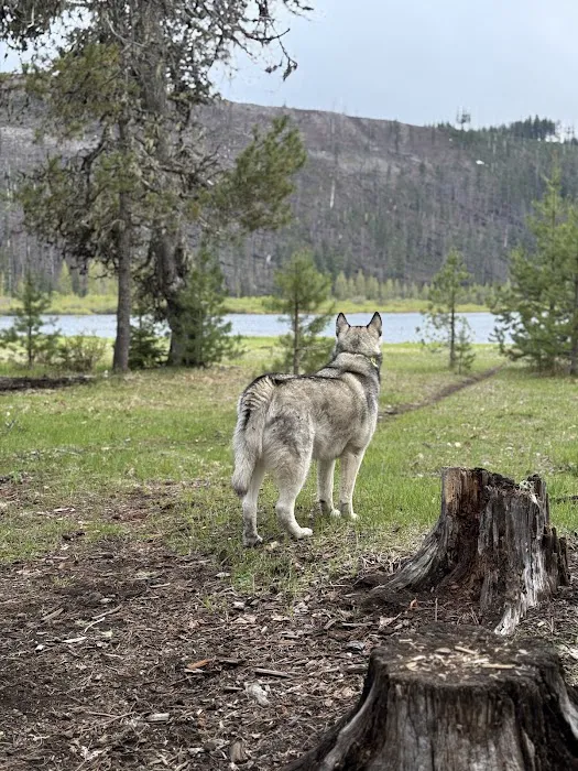 Lost Lake Campground Picture 7