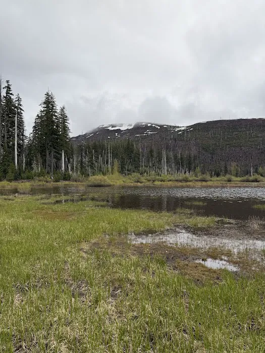 Lost Lake Campground Picture 10