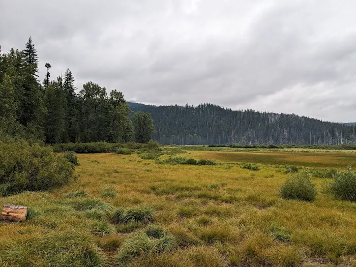 Lost Lake Campground Picture 3