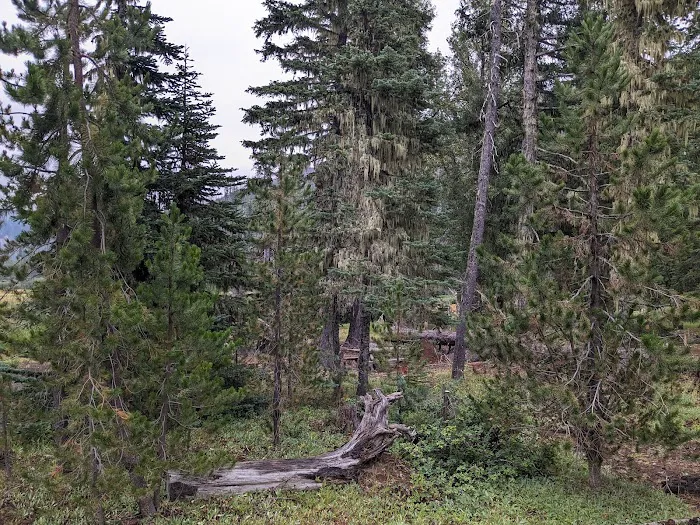 Lost Lake Campground Picture 8