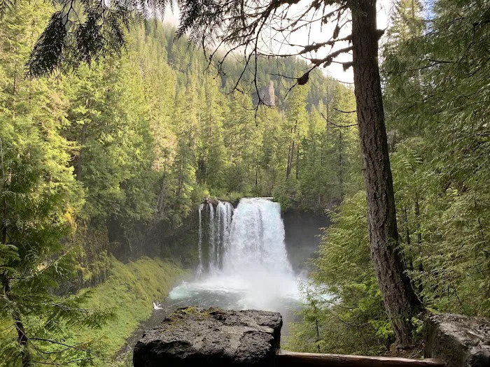 Ice Cap Creek Day Use Area Picture 2