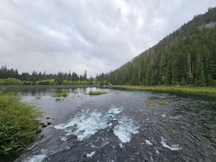 Ice Cap Creek Day Use Area Picture 10
