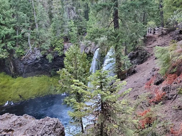 Ice Cap Creek Day Use Area Picture 1
