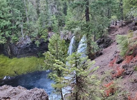 Ice Cap Creek Day Use Area