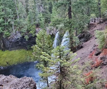 Ice Cap Creek Day Use Area