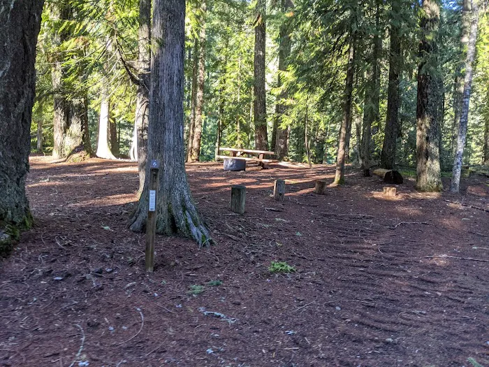 Ice Cap Creek Day Use Area Picture 5
