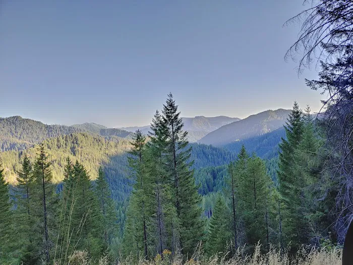 Lookout Campground Picture 1
