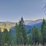 Lookout Campground