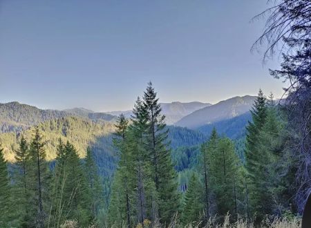 Lookout Campground