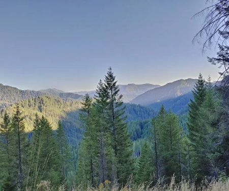 Lookout Campground