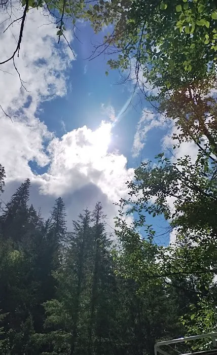 Lookout Campground Picture 4