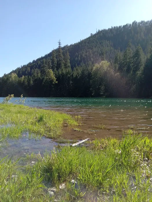 Lookout Campground Picture 5