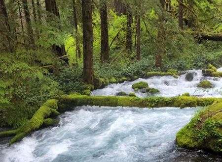 Olallie Campground
