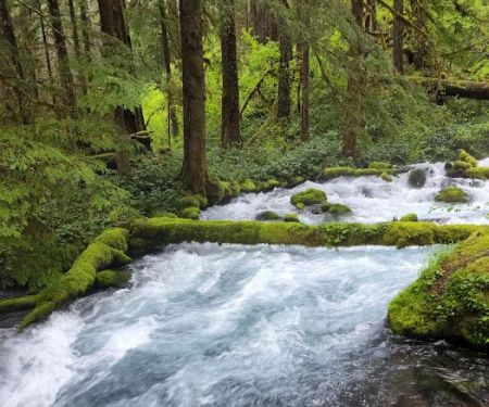 Olallie Campground