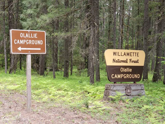 Olallie Campground Picture 10