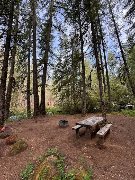 Olallie Campground Picture 5