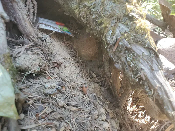 Sheep Creek Campground Picture 4