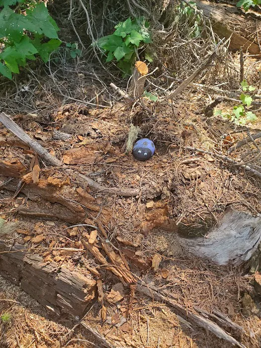 Sheep Creek Campground Picture 6