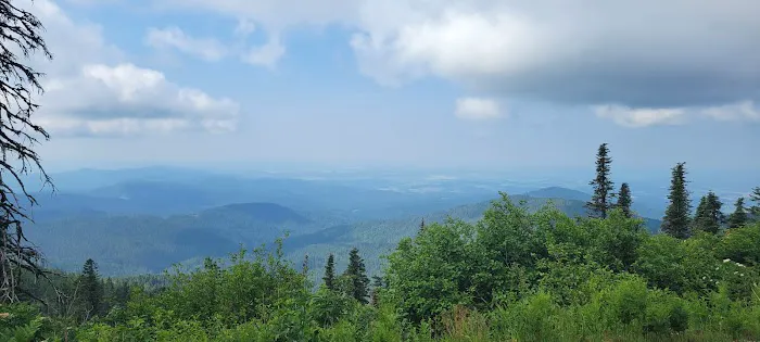 Bald Knob Campground Picture 2