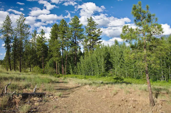 Fishtrap Recreation Area Picture 2