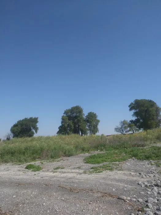 Perch Point Wild Camping Area Picture 10