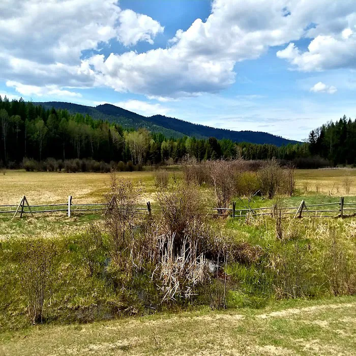 Big Meadow Lake Campground Picture 6