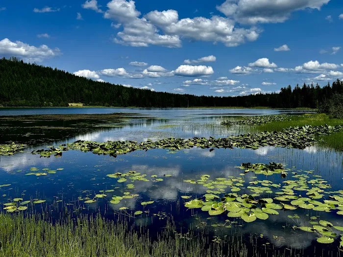 Big Meadow Lake Campground Picture 7
