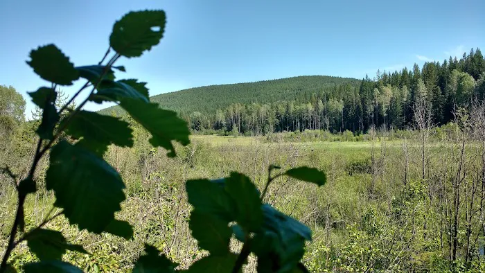 Big Meadow Lake Campground Picture 5