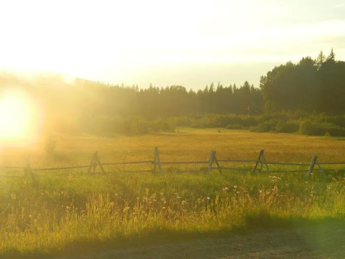 Big Meadow Lake Campground Picture 8