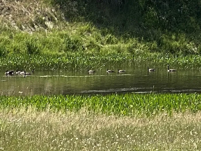 County Fair Campground Picture 1