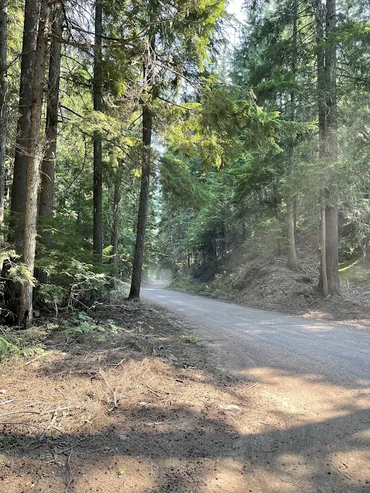 Devil’s Canopy Picture 1