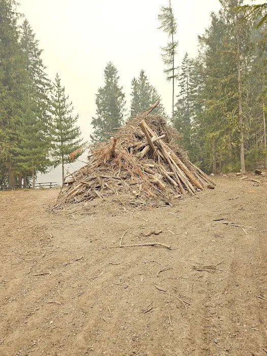 Browns Lake Campground Picture 6