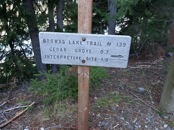 Browns Lake Campground Picture 10