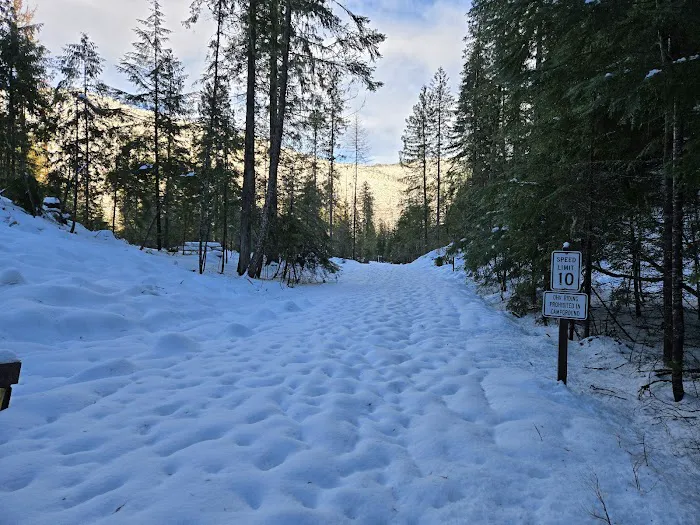 Browns Lake Campground Picture 2