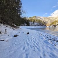 Browns Lake Campground ico