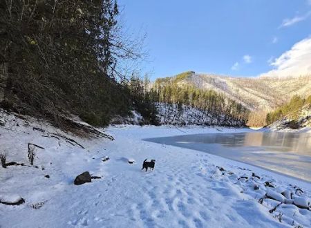 Browns Lake Campground