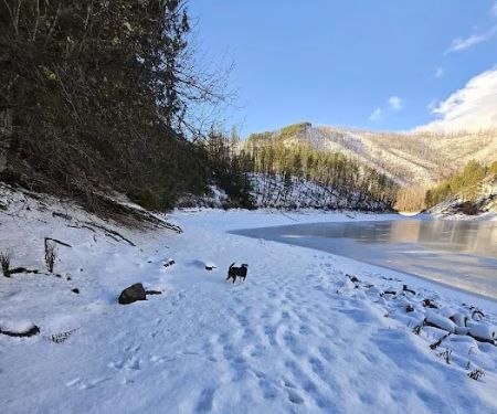 Browns Lake Campground