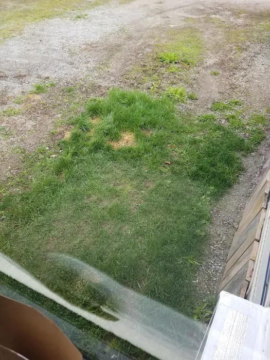 Calispel Creek RV Court Picture 8