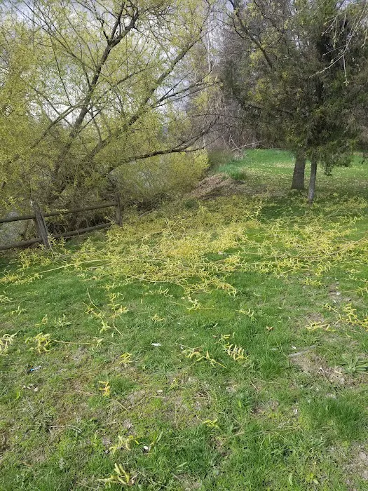 Calispel Creek RV Court Picture 4