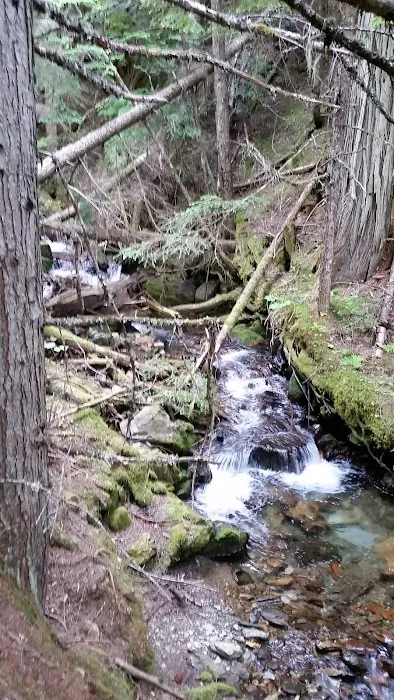 Noisy Creek Campground Picture 10