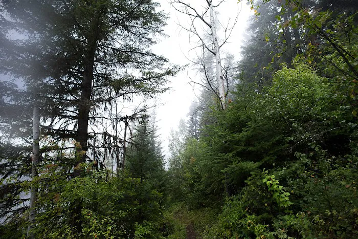 Noisy Creek Campground Picture 9