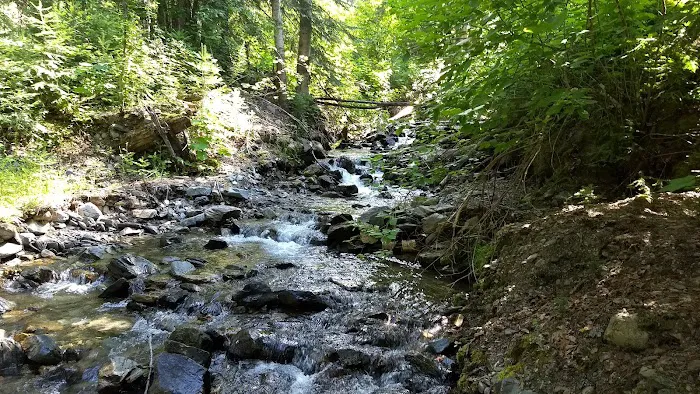 Noisy Creek Campground Picture 7