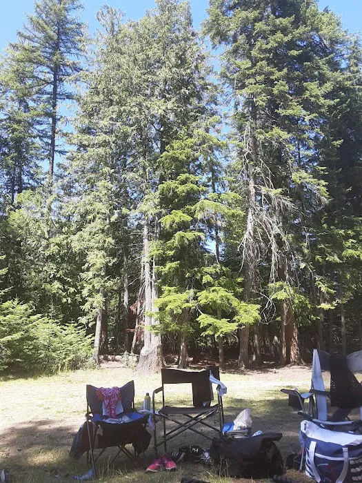 West Sullivan Campground Picture 2
